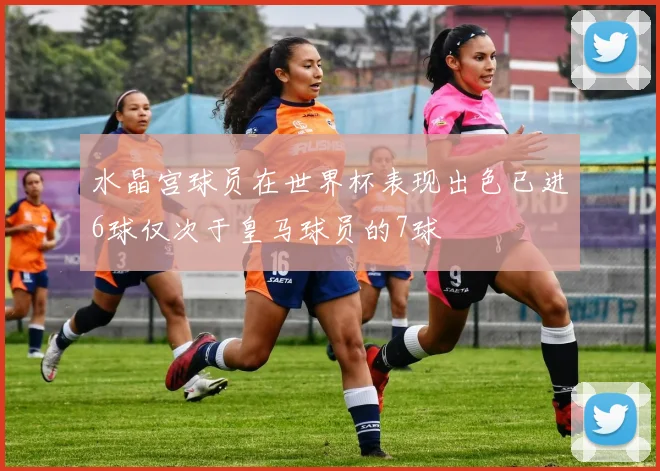 水晶宫球员在世界杯表现出色已进6球仅次于皇马球员的7球